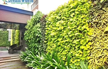 VERTICAL GARDEN PROJECT